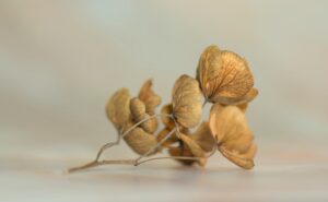 20代女性が知っておくべき顔の乾燥性皮膚炎の見分け方は？
