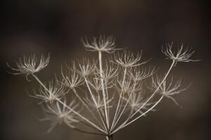 乾燥肌がひどい時の効果的な対策は？