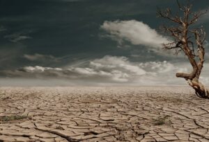 乾燥肌の対策におすすめの方法は？