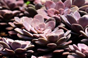 粉吹き肌に悩むあなたに！皮膚科でおすすめの治療法は？